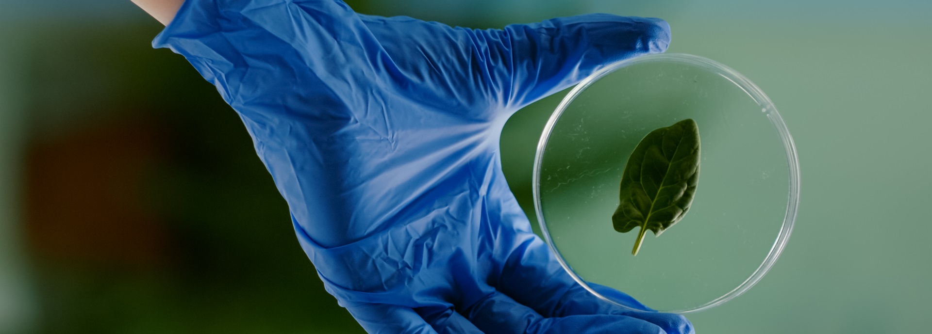 About Us - Zenith Bio Chemical Industries